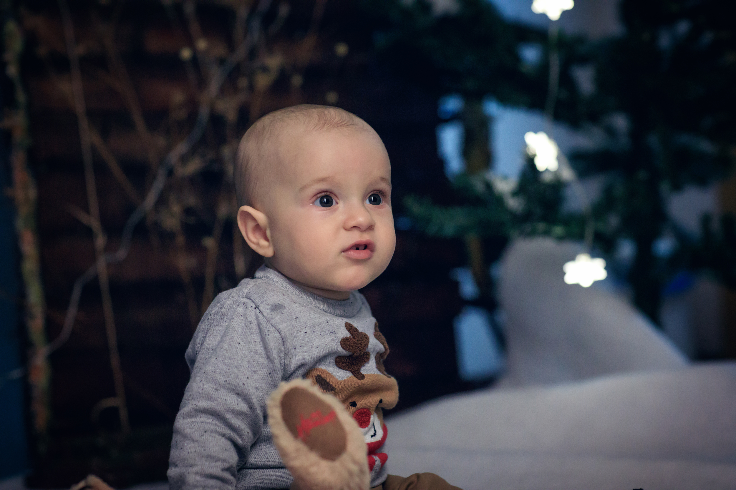 Sedinte foto craciun familie 0034